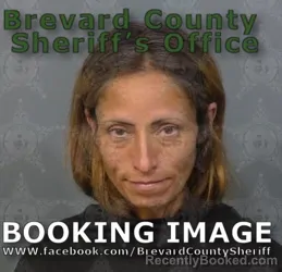 Mugshot of VANESSA HELENA AGUILAR JULIO