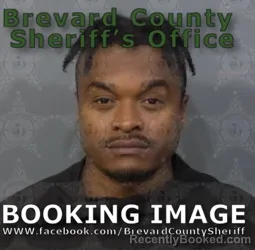 Mugshot of Brandon Michael Ward