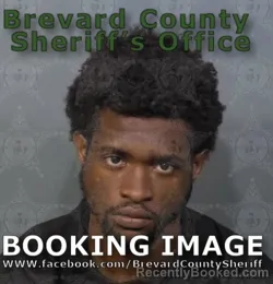 Mugshot of Vaundre Ricardo Singh