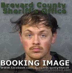 Mugshot of JACOB COLE PELUSO