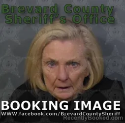 Mugshot of Shirley Ann Sanborn