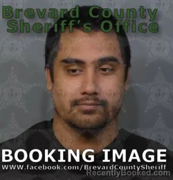 Mugshot of Adrian Jeremiah Bonifacio