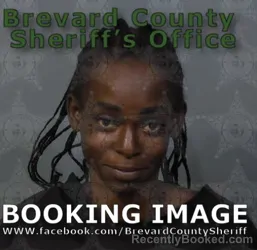 Mugshot of Cherline Andre