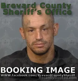 Booking photo from Brevard County, Florida