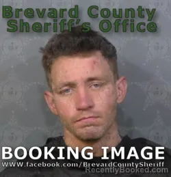 Mugshot of RYAN ANTHONY TANNER