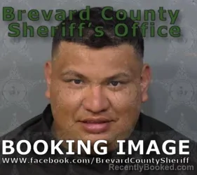 Mugshot of MARLON WALBERTO GONZALEZ