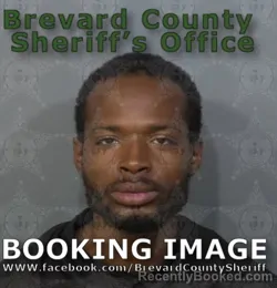 Booking photo from Brevard County, Florida