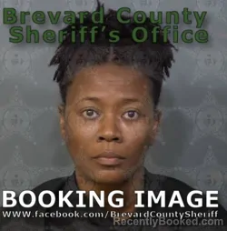Booking photo from Brevard County, Florida