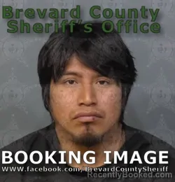 Booking photo from Brevard County, Florida