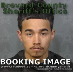 Mugshot of MATTHEW ANTHONY TOLLENS