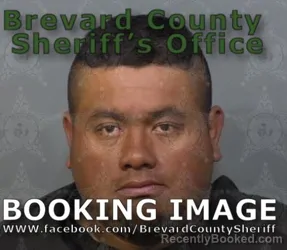Mugshot of ANIBAL IVAN DIAZ VELASQUEZ