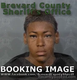 Mugshot of Shyyanna Jalia Reeves