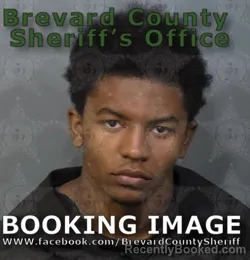 Mugshot of Ankivya Janarius
 Amoz Bray