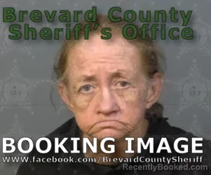 Mugshot of BOBBIE LYN RUSSUM