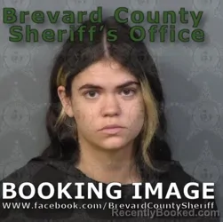 Mugshot of KASSIDY TAYLOR DUELL