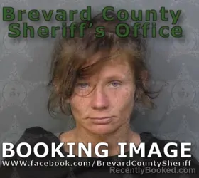 Booking photo from Brevard County, Florida