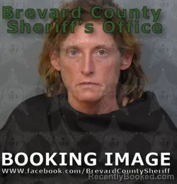 Mugshot of LORI ANN BRIMM