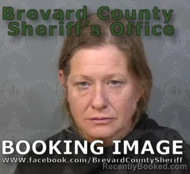 Mugshot of ERICA DANEY LARSON