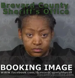Mugshot of TIESHA SHEKITA BUTLER WILLIAMS