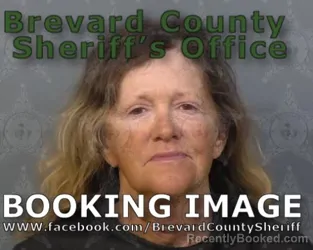 Mugshot of SANDRA LYNNE PARKER