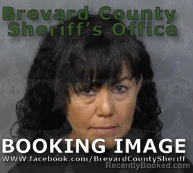 Mugshot of CARMINDA TYRA