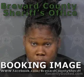 Mugshot of LISA MARIE SANDERS