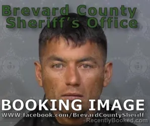 Mugshot of HARVIN YACSON CARRANZA DONAIRE