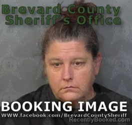 Booking photo from Brevard County, Florida