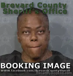 Mugshot of Ladonna Shea Burks