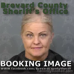 Mugshot of Lesley Anne Botha