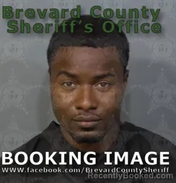 Mugshot of RONALD NORELIA