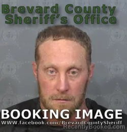 Mugshot of SHEA ONEAL COLLINS