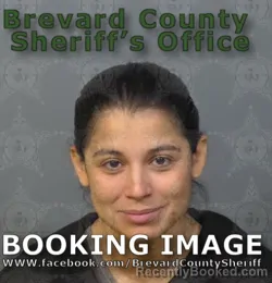Booking photo from Brevard County, Florida