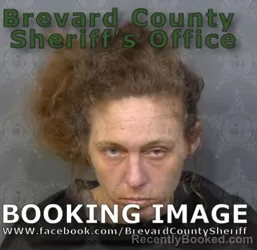 Mugshot of Katlyn Rose Petruski