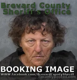 Mugshot of RONALD SNOHA