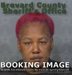 Mugshot of VICKIE RENEE NAILS