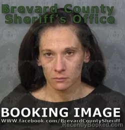 Mugshot of SARA NICOLE SMITH