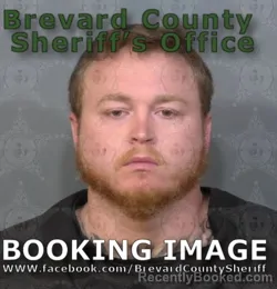 Mugshot of AUSTIN JAMES HOGAN