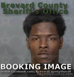 Mugshot of MANDINGO LORENZO MICKENS