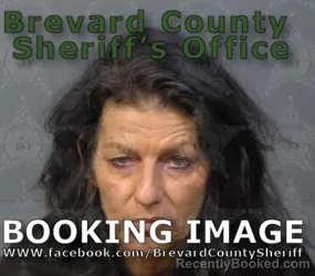 Booking photo from Brevard County, Florida