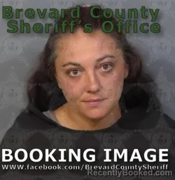 Mugshot of April Lynn Laginess
