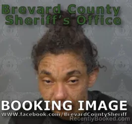 Mugshot of Virginia Rene Nicole Jordan