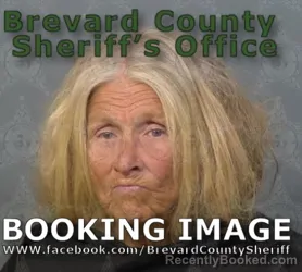 Mugshot of ROBIN GAIL KEAN