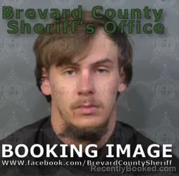 Mugshot of TYLER DEAN LYONS