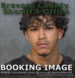 Mugshot of NICHOLAS CHAVES LOPES