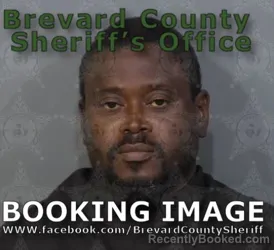 Mugshot of Ryan Odele Brown