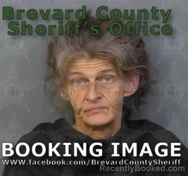 Mugshot of AMANDA ANN LLOYD