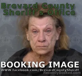 Mugshot of MARY CATHERINE PHELPS