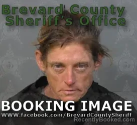 Mugshot of LORI ANN BRIMM