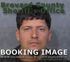 Mugshot of David ALEJANDRO Salazar Rojas